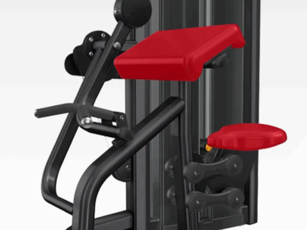 life fitness Insignia Series Biceps Curl