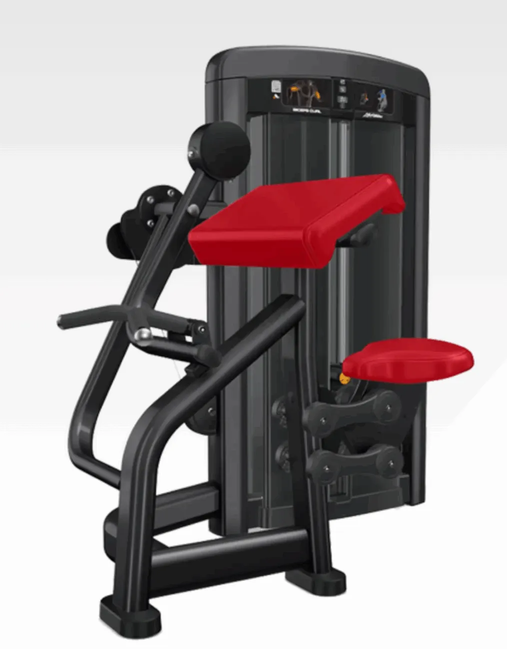 life fitness Insignia Series Biceps Curl
